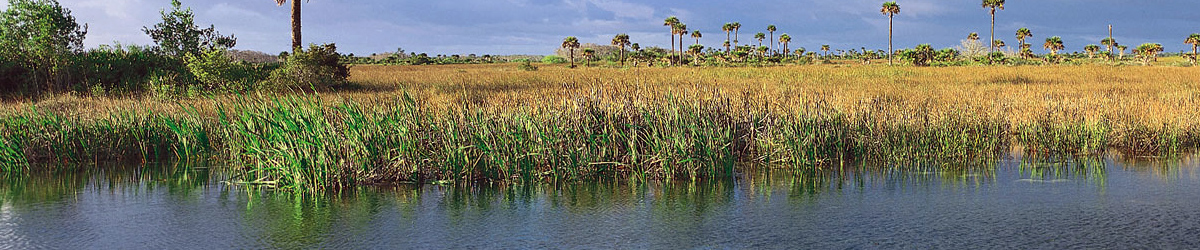 Jake Stark Everglades Fishing