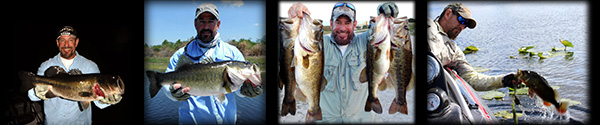 American Everglades Guide, Neal Stark